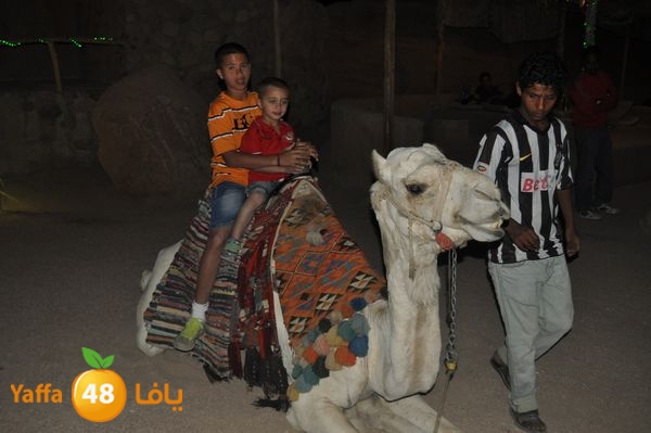 re7latsharmn422 (32).jpg